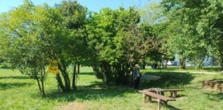 Corriretrone, a Vicenza torna l’appuntamento di trail running corriretrone