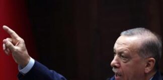 Siria, Erdogan: “Assad fuggito lasciandosi dietro un milione di morti”