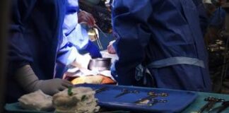 Trapianti, Italia ‘argento’ per donazioni organi, al secondo posto in Ue