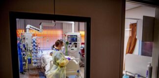 Verona, gravissimo il 18enne colpito da una bottigliata: “Tenuto in vita da terapie di supporto”