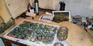 “Piazze pulite” da spaccio, Gdf Vicenza arresta ad Altavilla Vicentina 3 albanesi con mezzo kg di cocaina destinati ad Altavilla e Bressanvido Guardia di Finanza di Vicenza droga vicentino marijuana sequestro