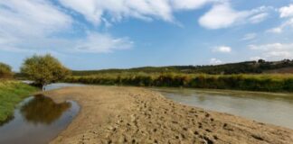 Nomina del nuovo commissario straordinario per l’emergenza idrica nazionale