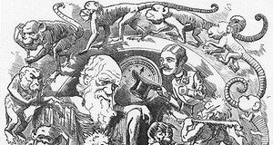 Siamo solo animali, riflessioni tra la fine delle scelte e della libertà: l’oppressione genera il male? (III)