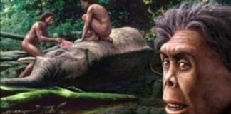 “Le più grandi invenzioni della storia”: col fuoco la vita dell’homo erectus cambia completamente L'uomo e il fuoco