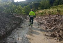 Protezione Civile, a Vicenza il primo corso formativo per l’intera struttura amministrativa corso di coordinamento per la protezione civile