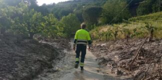 Protezione Civile, a Vicenza il primo corso formativo per l’intera struttura amministrativa corso di coordinamento per la protezione civile