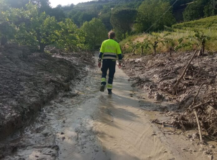 La Regione Veneto ringrazia la sua Protezione Civile con una cerimonia a Conegliano venerdì 9 febbraio