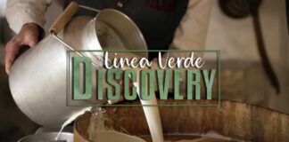 Associazione OGD Pedemontana Veneta e Colli ospite a Linea Verde Discovery il 3 Giugno alle ore 12 su RAI 1 Associazione OGD Pedemontana Veneta e Colli ospite a Linea Verde Discovery