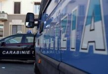 Agrigento, orrore a Naro: sgozza randagio e tenta di mangiarlo