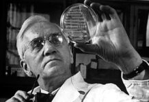 “Le più grandi invenzioni della storia”, la Penicillina: la scoperta che ha salvato milioni di vite penicillina