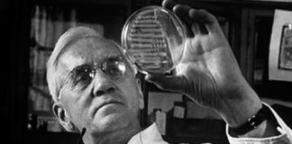 “Le più grandi invenzioni della storia”, la Penicillina: la scoperta che ha salvato milioni di vite penicillina