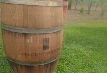 Enotour presso Cantina Placido-Volpone su “Wine Specialists Journal” Botte Placido-Volpone