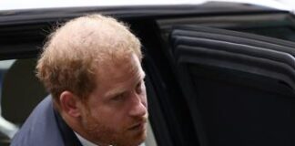 “Camilla cacciò via Harry dopo mezz’ora di visita a Carlo”