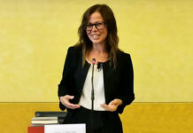 Centri salute mentale, Luisetto (Pd): “Personale precario in scadenza, la Regione intende stabilizzarlo?” Luisetto su galleria di malo pedemontana