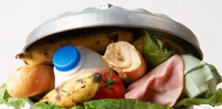 Cresce il Food Waste, ogni settimana gettati oltre 680 grammi di cibo a testa