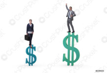 Discriminazioni di genere: si tratta solo di stipendio? Disparità di genere, Disparité de genre