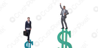 Discriminazioni di genere: si tratta solo di stipendio? Disparità di genere, Disparité de genre