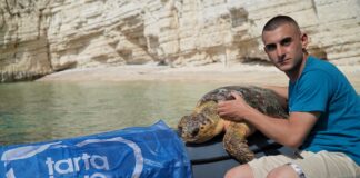 Sebastian Colnaghi ambasciatore di “Tartalove” di Legambiente: “Migliaia di tartarughe vittime della plastica” Sebastian Colnaghi
