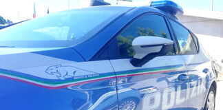 Nasconde marijuana in un supermercato di Vicenza: denunciato dalla Polizia per detenzione di sostanza stupefacente suicidio rissa bar vicenza stupefacente