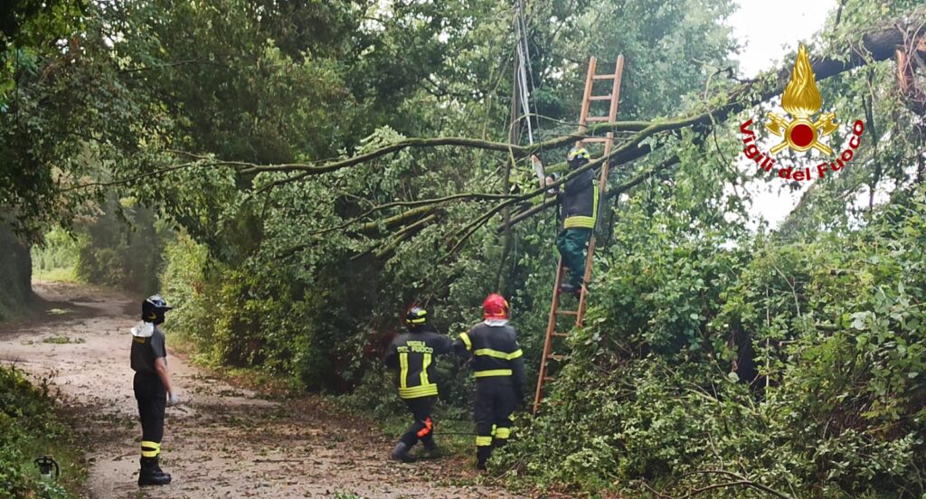 Vigili del fuoco in azione