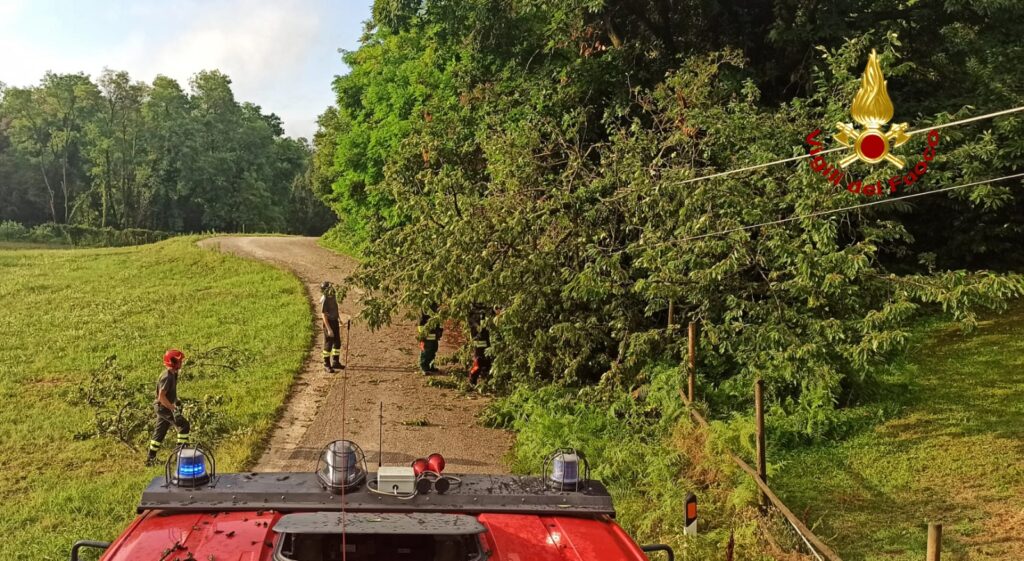 Vigili del fuoco in azione