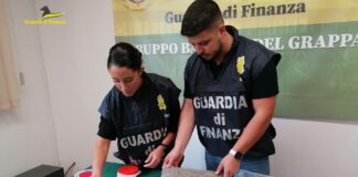 Gdf di Vicenza: arrestato a Romano d’Ezzelino cittadino albanese e sequestrato oltre mezzo chilo di marijuana Gdf di Vicenza arresta a Romano d’Ezzelino cittadino albanese con 500 g. di marijuana