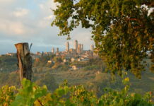 La “Manhattan del Medioevo”: San Gimignano e i suoi tesori – La Via Francigena destinazione Roma, la 21ª tappa dal Nord Panorama San Gimignano