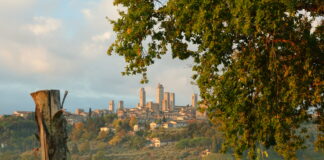 La “Manhattan del Medioevo”: San Gimignano e i suoi tesori – La Via Francigena destinazione Roma, la 21ª tappa dal Nord Panorama San Gimignano