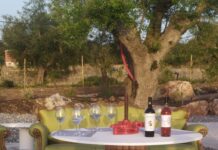 Enotour presso Tenute Bradascio: una nuova stella nella Valle d’Itria Tenute Bradascio vini