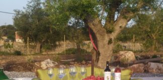 Enotour presso Tenute Bradascio: una nuova stella nella Valle d’Itria Tenute Bradascio vini
