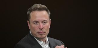 Tesla, arriva il Robotaxi: Elon Musk lo presenterà ad agosto
