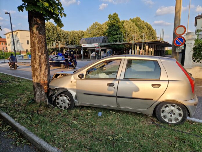 Thiene, fuoriuscita autonoma contro un tiglio