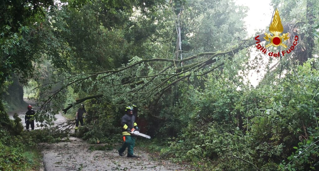 Vigili del fuoco in azione