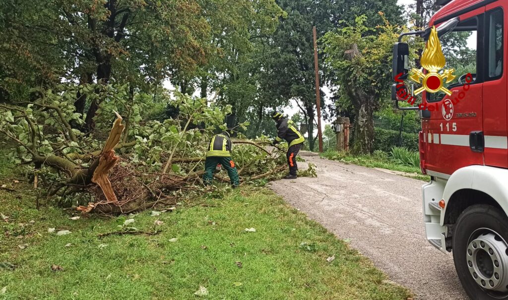 Vigili del fuoco in azione