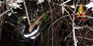 Coppia di giovani bloccata tra i rovi di sera lungo il Brenta: salvati dai vigili del fuoco