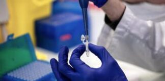 Oropouche, oltre 8mila casi in Sudamerica: indagini su altre morti fetali e microcefalia