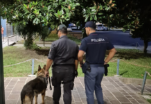 Campo Marzo: fugge all’Alt della Volante. Fermato nigeriano con quasi 25 grammi di marijuana Polizia di Stato di Vicenza in azione a Campo Marzo con cane poliziotto controlli