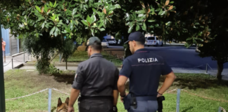 Polizia di Stato di Vicenza: intervento immediato per lite tra indiani in Campo Marzo: uno dei due aggredito per rubargli smartphone e 40 euro Polizia di Stato di Vicenza in azione a Campo Marzo con cane poliziotto controlli