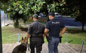 Sicurezza, Ostellari e Molteni (Lega): “Oltre 160 rinforzi in Veneto per l’estate” Polizia di Stato di Vicenza in azione a Campo Marzo con cane poliziotto controlli sicurezza veneto