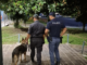 Sicurezza, Ostellari e Molteni (Lega): “Oltre 160 rinforzi in Veneto per l’estate” Polizia di Stato di Vicenza in azione a Campo Marzo con cane poliziotto controlli sicurezza veneto
