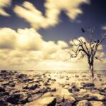 Save the Children: un bambino su tre nel mondo esposto a ondate di calore estreme