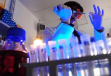 Storia genetica di un superbatterio killer, così l’Acinetobacter baumannii è diventato invulnerabile