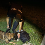 Thiene: 4 giovani segnalati per uso di hashish dalla Polizia Locale Nordest Vicentino grazie al cane antidroga Ronnie Polizia locale nordest vicentino (altre notizie sulla sua attività, ndr) , supportata dal cane antidroga Ronnie
