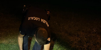 Thiene: 4 giovani segnalati per uso di hashish dalla Polizia Locale Nordest Vicentino grazie al cane antidroga Ronnie Polizia locale nordest vicentino (altre notizie sulla sua attività, ndr) , supportata dal cane antidroga Ronnie