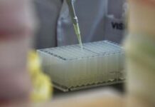 Vaiolo delle scimmie in Veneto, la Regione precisa: sorveglianza rafforzata ma da marzo nessun nuovo caso vaiolo delle scimmie, in veneto sorveglianza rafforzata ma nessun nuovo caso da marzo