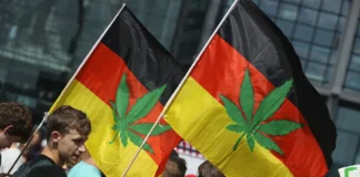 Germania: approvato il disegno di legge per la cannabis. E l’Italia cosa fa? Il governo tedesco ha approvato il disegno di legge per regolamentare l’utilizzo di cannabis a scopo ricreativo.