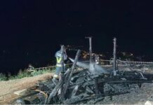 Drago di Vaia a Lavarone incendiato, Andrea Nardin (Provincia di Vicenza): “Non si può bruciare ciò che rappresenta” drago vaia