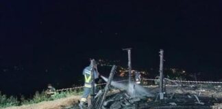 Drago di Vaia a Lavarone incendiato, Andrea Nardin (Provincia di Vicenza): “Non si può bruciare ciò che rappresenta” drago vaia