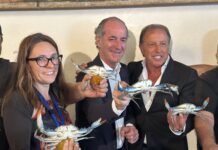 Granchio blu, Partito Democratico: basta passerelle e ricette improvvisate della destra granchio blu