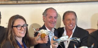 Granchio blu, Partito Democratico: basta passerelle e ricette improvvisate della destra granchio blu